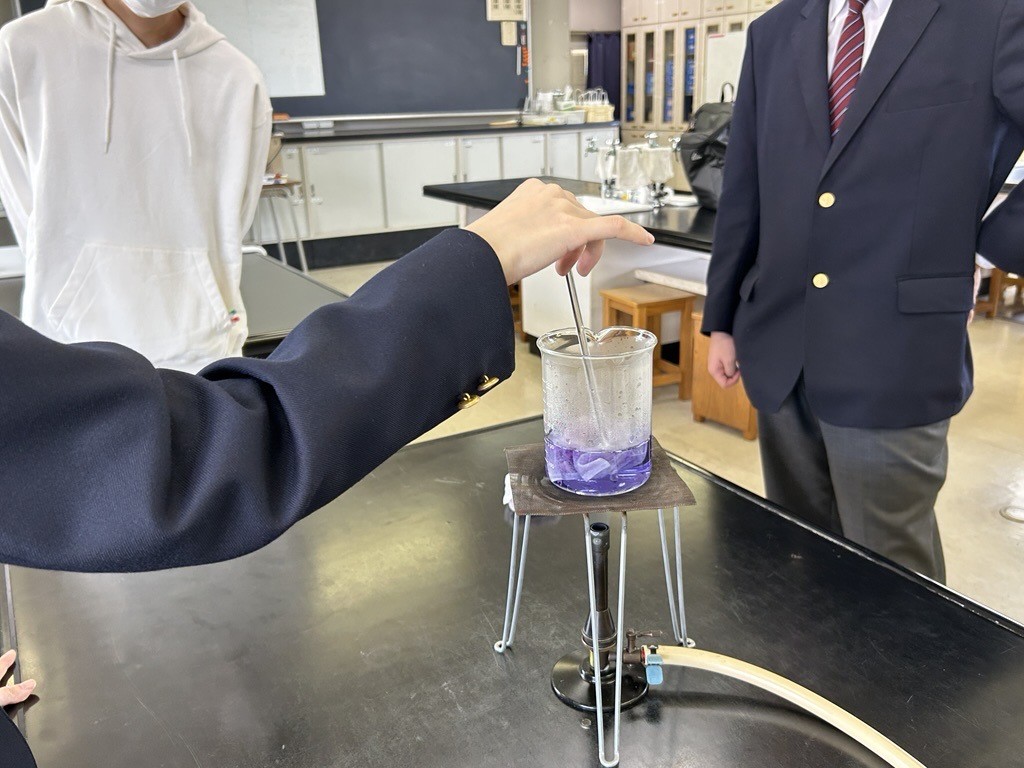 Image - 2025-06-10T095059.842